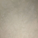 Get Beiged - Hand Dyed Fabric - PRE ORDER