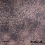 Spiderweb - Hand Dyed Fabric - PRE ORDER