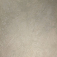 Get Beiged - Hand Dyed Fabric - PRE ORDER