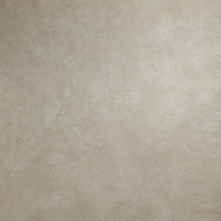 Get Beiged - Hand Dyed Fabric - PRE ORDER