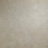 Get Beiged - Hand Dyed Fabric - PRE ORDER