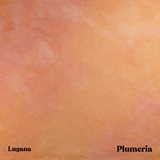 Plumeria - Hand Dyed Fabric - PRE ORDER