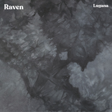 Raven - Hand Dyed Fabric - PRE ORDER