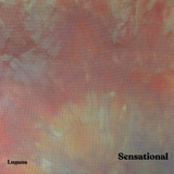 Sensational - Hand Dyed Fabric - PRE ORDER
